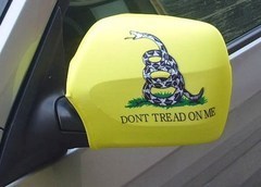 "Don't Tread On Me"